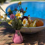 Apartman Casa Olina