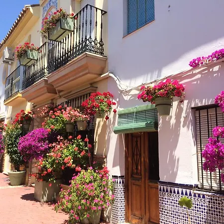 Appartement Casa Olina *